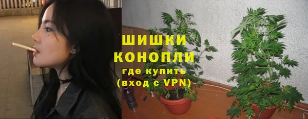 мдпв Верея