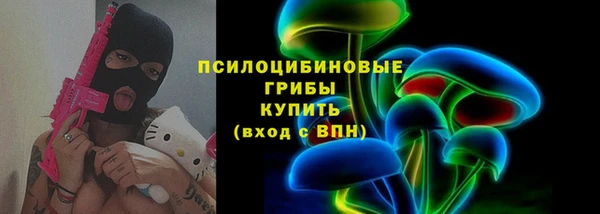 мдпв Верея