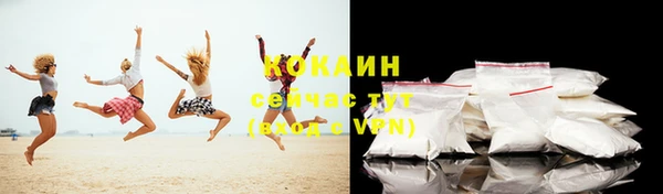 мдпв Верея