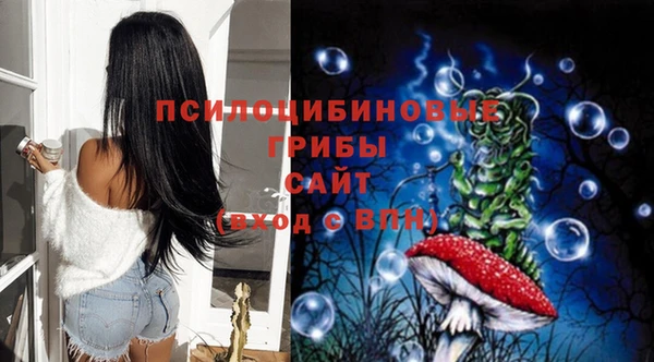 кристаллы Бородино