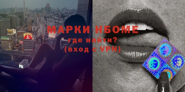 мдпв Верея