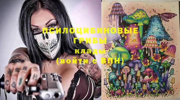 ПСИЛОЦИБИНОВЫЕ ГРИБЫ Верхний Тагил