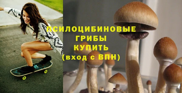 мдпв Верея