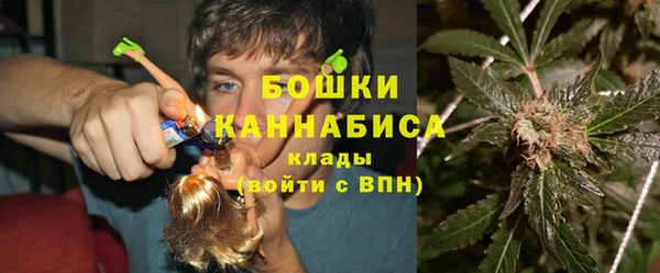 ПСИЛОЦИБИНОВЫЕ ГРИБЫ Верхний Тагил